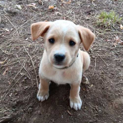 Magic Wonderland - Chicco Blog