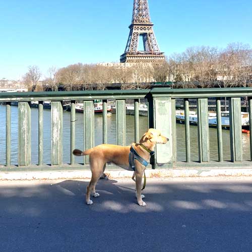 Magic Wonderland - Chicco Blog 03