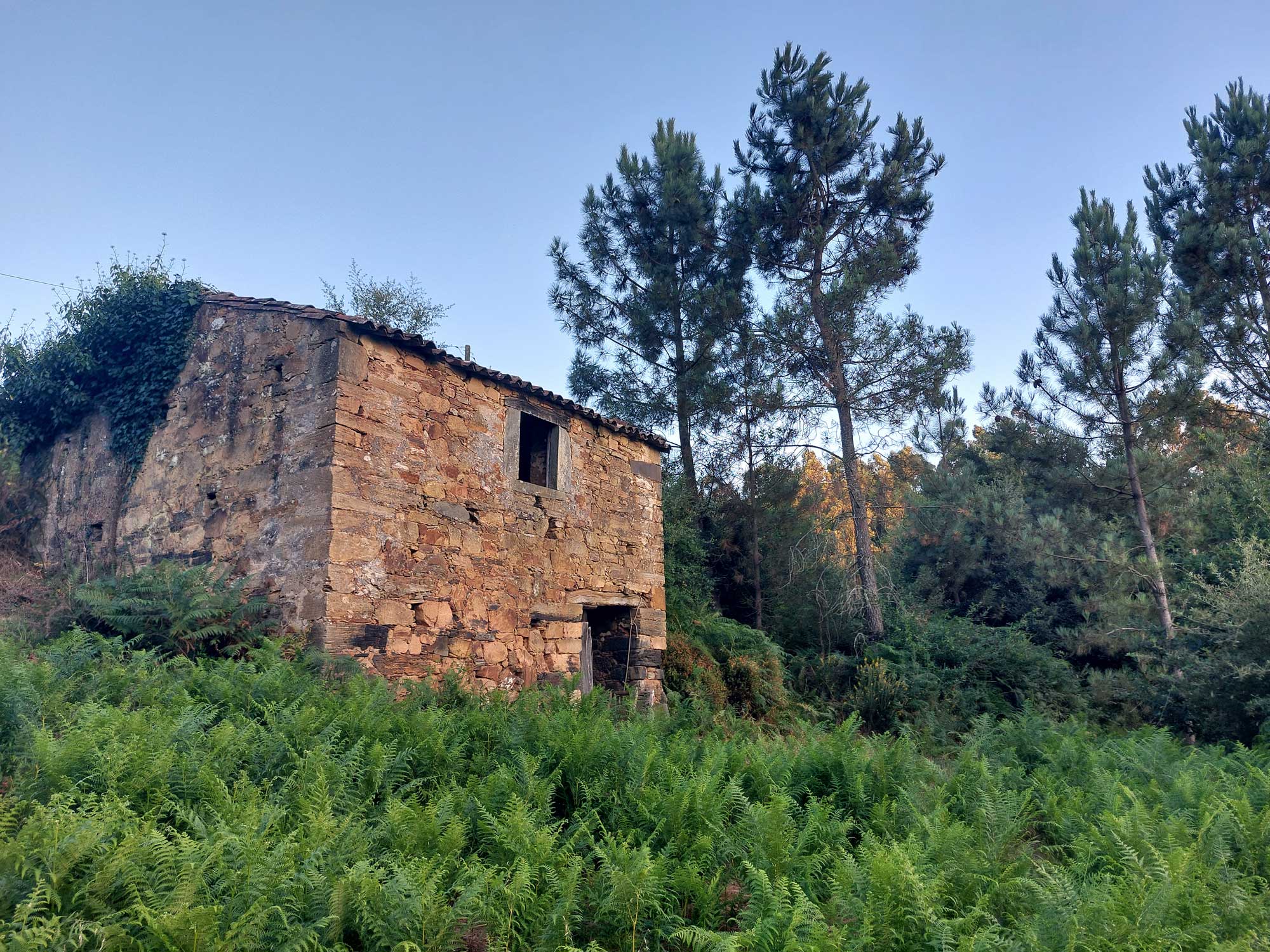 Magic Wonderland - Eigene Besichtigung