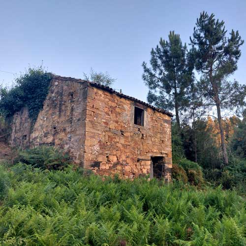 Magic Wonderland - Erster Eindruck