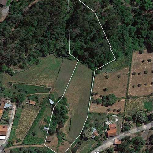 Magic Wonderland - offizieller Besichtigungstermin